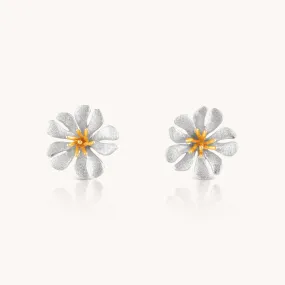 Parijatak Silver Stud Earrings